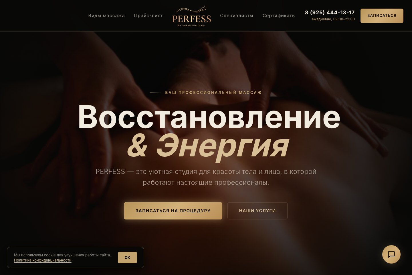 Превью сайта Perfess